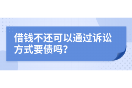 天山为什么选择专业追讨公司来处理您的债务纠纷？